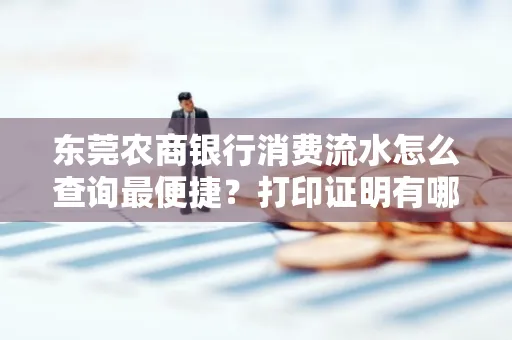 东莞农商银行消费流水怎么查询最便捷?打印证明有哪些风险需注意?