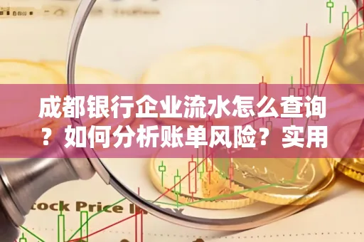 成都银行企业流水怎么查询?如何分析账单风险?实用指南
