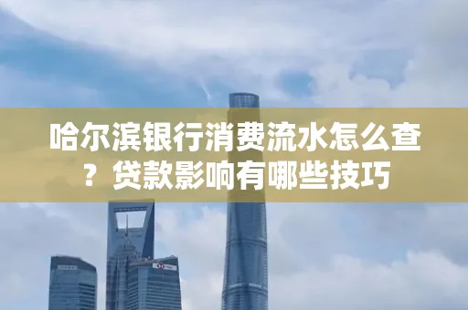 哈尔滨银行消费流水怎么查?贷款影响有哪些技巧